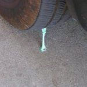 Meet your Posher, Robyn